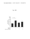 THERAPEUTIC AGENT AND DETECTION REAGENT FOR ARTERIOSCLEROTIC DISEASE WHICH     TARGETS FOR SALUSIN diagram and image