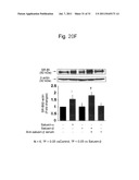 THERAPEUTIC AGENT AND DETECTION REAGENT FOR ARTERIOSCLEROTIC DISEASE WHICH     TARGETS FOR SALUSIN diagram and image