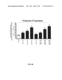 ALDOSTERONE INDUCED VASCULAR ELASTIN PRODUCTION diagram and image