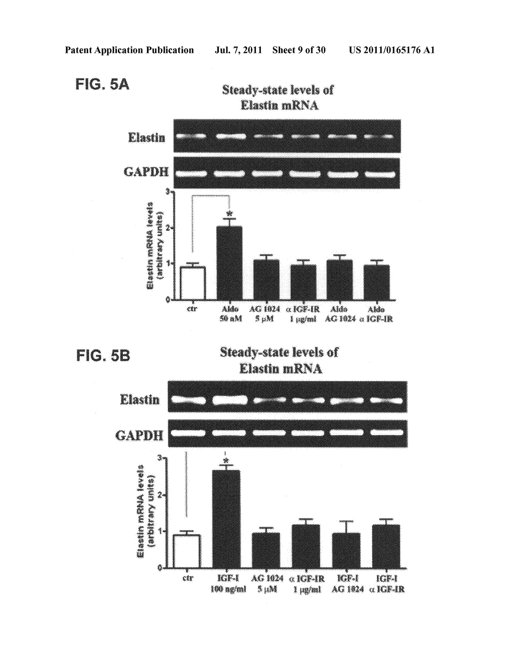 ALDOSTERONE INDUCED VASCULAR ELASTIN PRODUCTION - diagram, schematic, and image 10