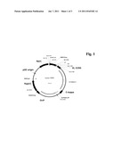 CONJUGATE OF AN ANTIBODY AGAINST CCR5 AND AN ANTIFUSOGENIC PEPTIDE diagram and image