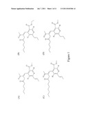 NOVEL PYRIDINE ALKALOIDS, PREPARATION PROCESS THEREOF, AND THE USES OF THE     PYRIDINE ALKALOIDS diagram and image