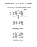 Compositions and Methods for Treatment diagram and image