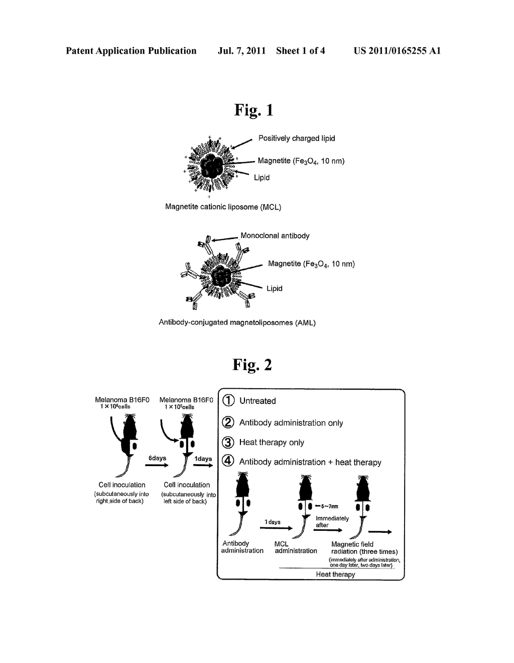 MALIGNANT TUMOR HEAT THERAPY KIT COMPRISING ANTI-REGULATORY T CELL     ANTIBODY AND MAGNETIC FINE PARTICLES AND HEAT THERAPY METHOD THEREOF - diagram, schematic, and image 02