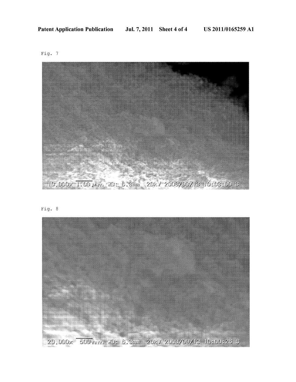 COMPOSITE ORGANIC COMPOUND POWDER FOR MEDICAL USE, METHOD FOR PRODUCING     SAME AND SUSPENSION OF SAME - diagram, schematic, and image 05