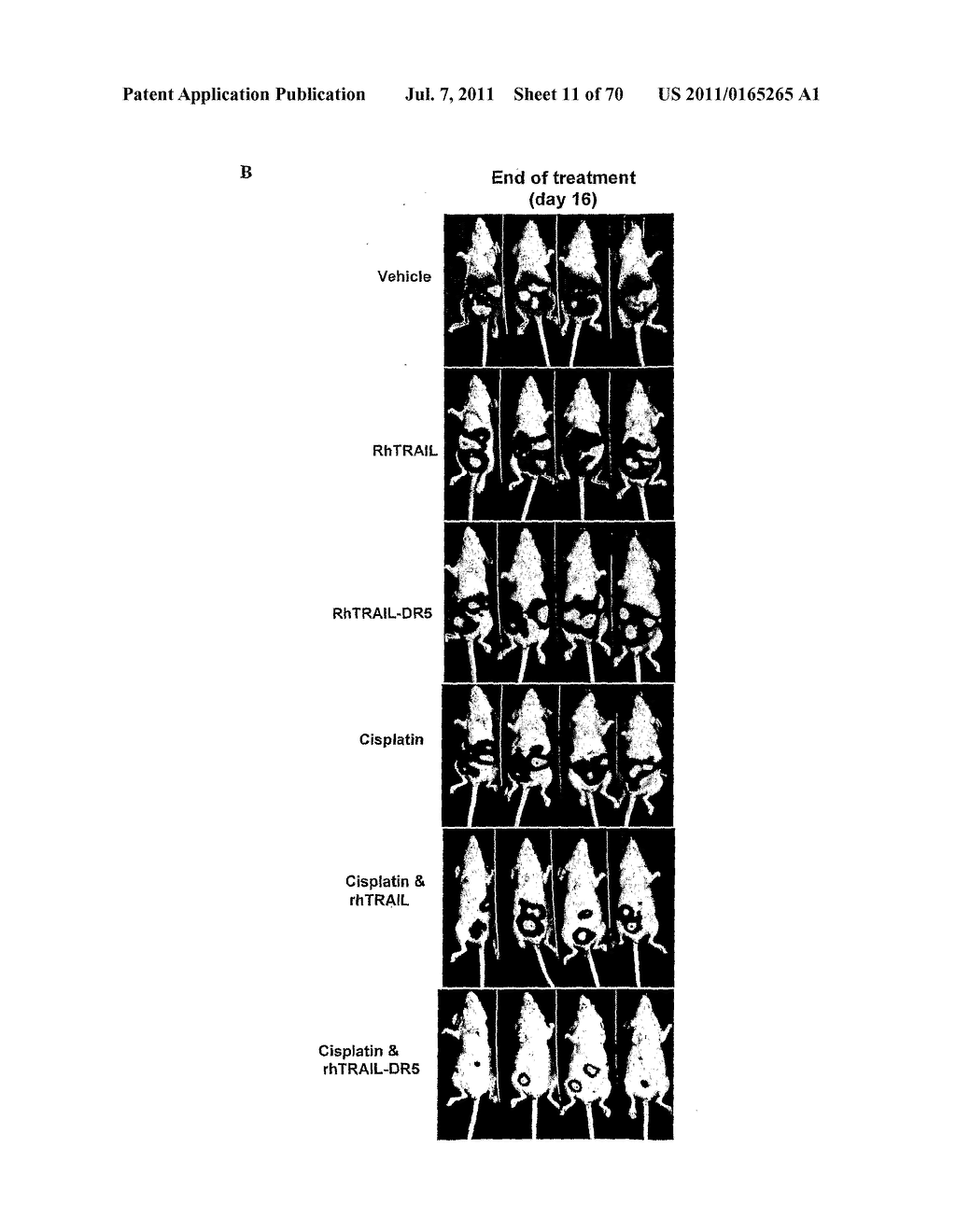 TRAIL VARIANTS FOR TREATING CANCER - diagram, schematic, and image 12