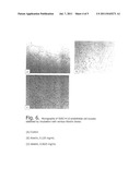 ANTITUMORAL TERPENOID PHARMACEUTICAL COMPOSITION  ABISILIN  EXHIBITING     ANGIOGENESIS-INHIBITING ACTION diagram and image