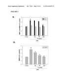 SWEET POTATO TRYPSIN INHIBITOR AND METHODS FOR TREATING INFLAMMATION AND     HYPERALGESIA diagram and image