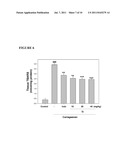 SWEET POTATO TRYPSIN INHIBITOR AND METHODS FOR TREATING INFLAMMATION AND     HYPERALGESIA diagram and image