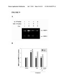 SWEET POTATO TRYPSIN INHIBITOR AND METHODS FOR TREATING INFLAMMATION AND     HYPERALGESIA diagram and image