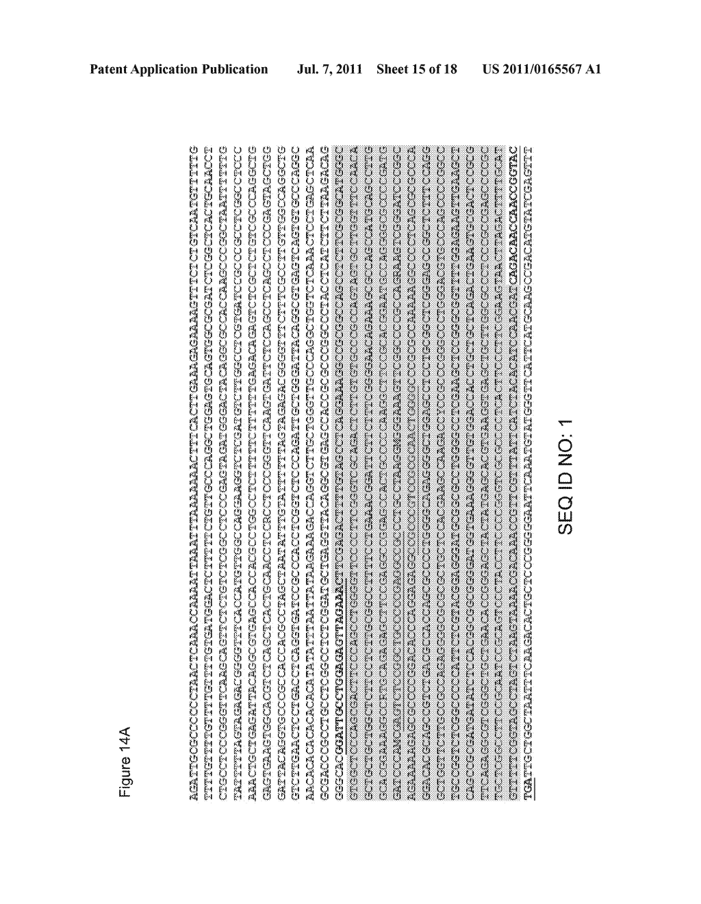 ABERRANT METHYLATION OF C6Orf150 DNA SEQUENCES IN HUMAN COLORECTAL CANCER - diagram, schematic, and image 16