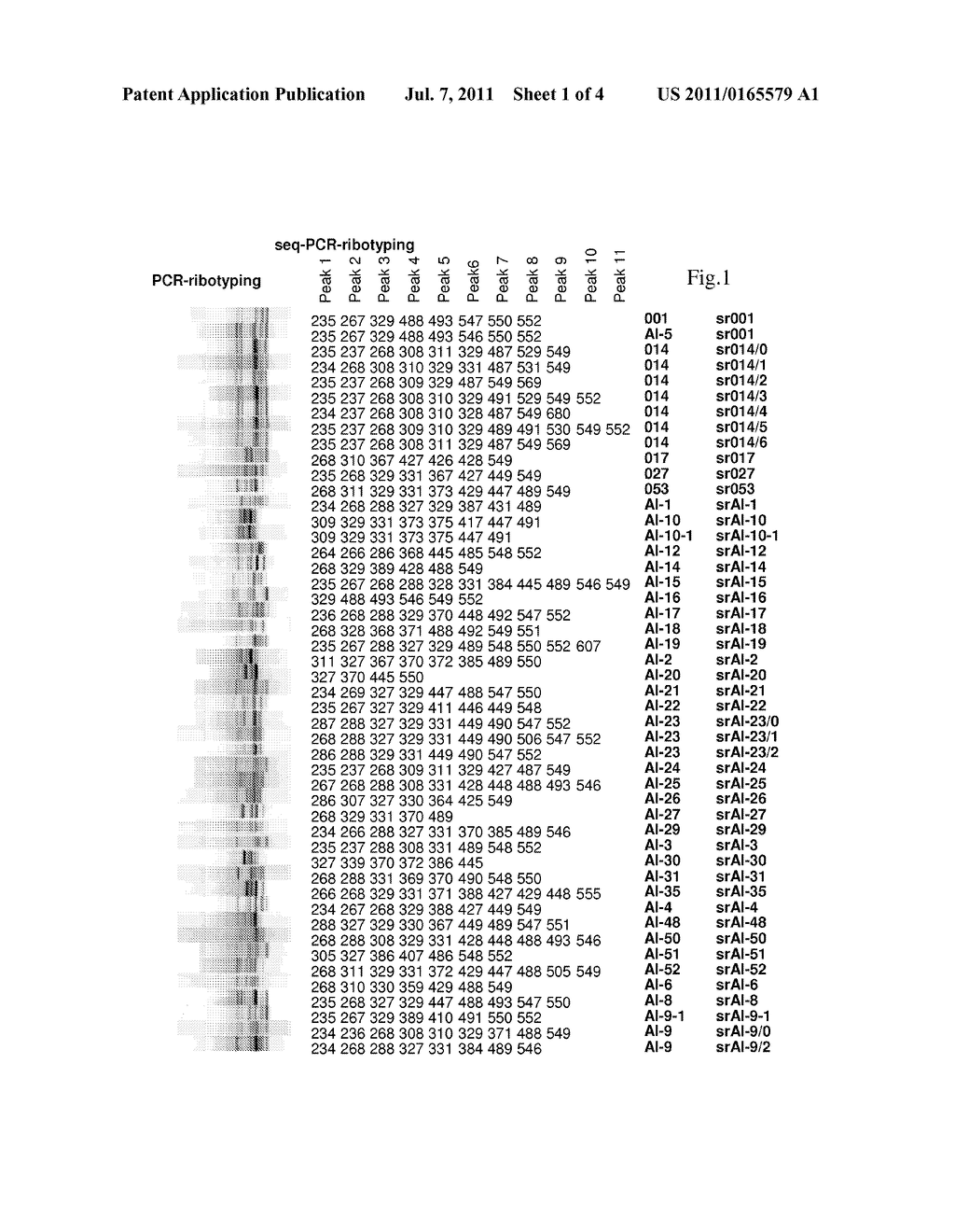 PCR-RIBOTYPING OF C. DIFFICILE - diagram, schematic, and image 02