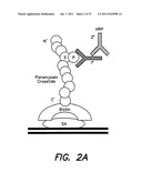 METHODS AND COMPOSITIONS FOR TREATING ALZHEIMER S DISEASE diagram and image