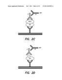 METHODS AND COMPOSITIONS FOR TREATING ALZHEIMER S DISEASE diagram and image