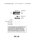 METHODS AND COMPOSITIONS FOR TREATING ALZHEIMER S DISEASE diagram and image