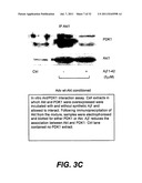 METHODS AND COMPOSITIONS FOR TREATING ALZHEIMER S DISEASE diagram and image