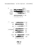 METHODS AND COMPOSITIONS FOR TREATING ALZHEIMER S DISEASE diagram and image