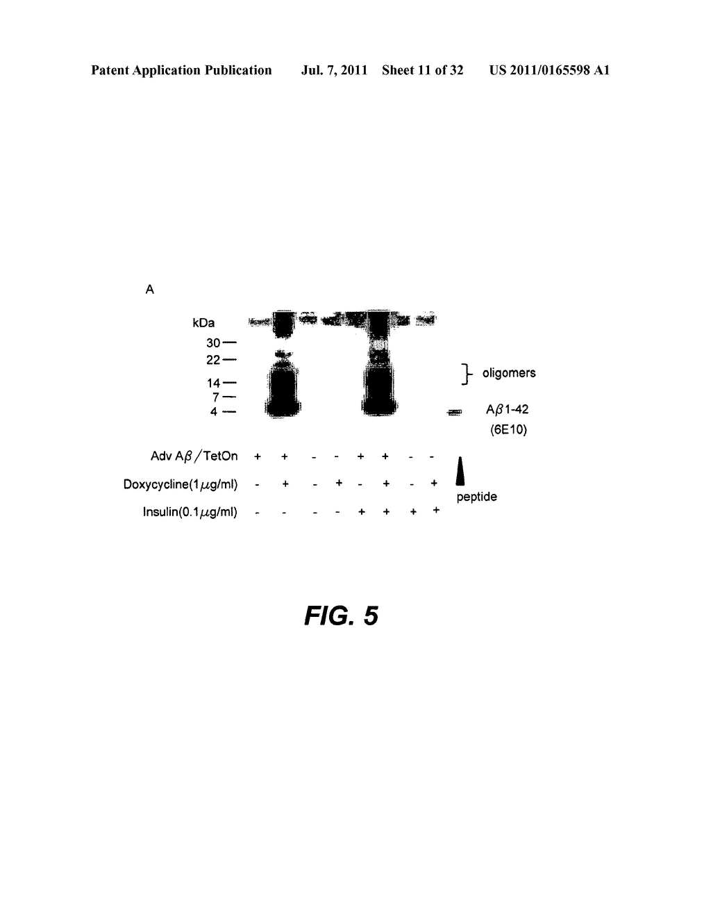 METHODS AND COMPOSITIONS FOR TREATING ALZHEIMER'S DISEASE - diagram, schematic, and image 12