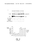 METHODS AND COMPOSITIONS FOR TREATING ALZHEIMER S DISEASE diagram and image