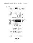 METHODS AND COMPOSITIONS FOR TREATING ALZHEIMER S DISEASE diagram and image