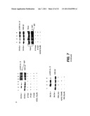 METHODS AND COMPOSITIONS FOR TREATING ALZHEIMER S DISEASE diagram and image