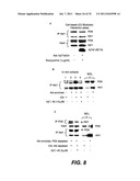 METHODS AND COMPOSITIONS FOR TREATING ALZHEIMER S DISEASE diagram and image