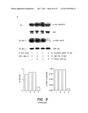 METHODS AND COMPOSITIONS FOR TREATING ALZHEIMER S DISEASE diagram and image