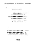 METHODS AND COMPOSITIONS FOR TREATING ALZHEIMER S DISEASE diagram and image