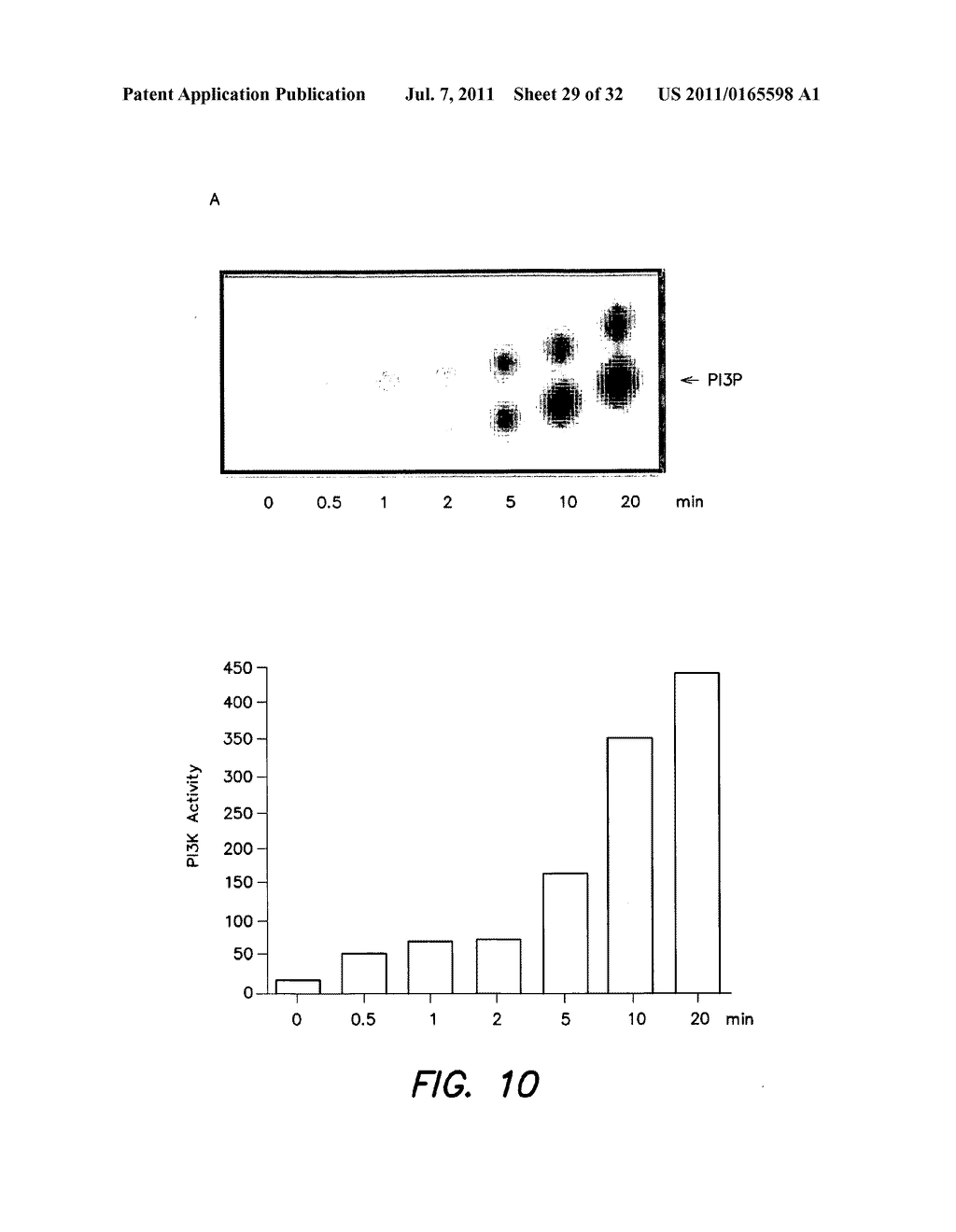 METHODS AND COMPOSITIONS FOR TREATING ALZHEIMER'S DISEASE - diagram, schematic, and image 30