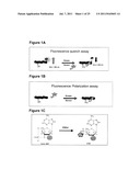 SMALL MOLECULE FLUORESCENT SENSORS FOR DETECTION OF     POST-TRANSLATIONALMODIFICATIONS AND PROTEIN INTERACTIONS IN BIOASSAYS diagram and image