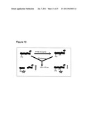 SMALL MOLECULE FLUORESCENT SENSORS FOR DETECTION OF     POST-TRANSLATIONALMODIFICATIONS AND PROTEIN INTERACTIONS IN BIOASSAYS diagram and image