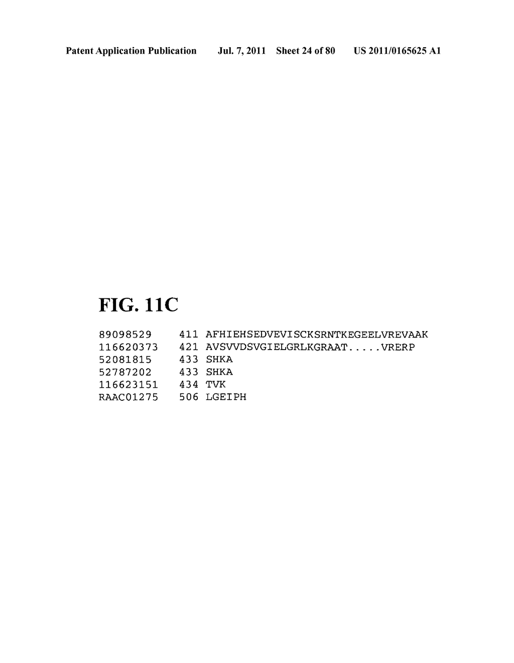 Thermophilic and thermoacidophilic biopolymer-degrading genes and enzymes     from alicyclobacillus acidocaldarius and related organisms, methods - diagram, schematic, and image 25