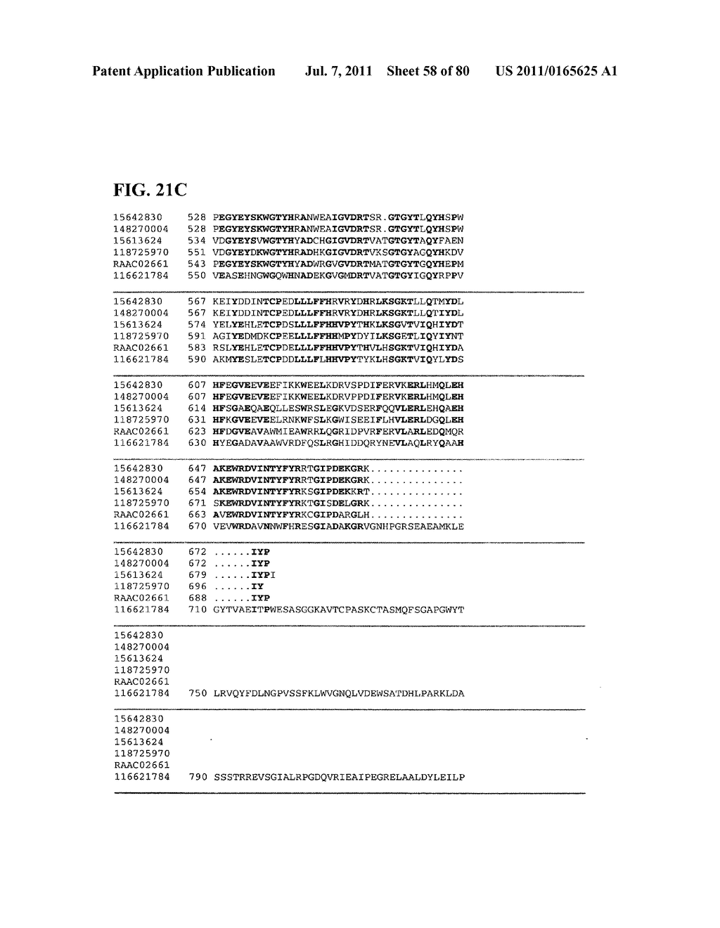 Thermophilic and thermoacidophilic biopolymer-degrading genes and enzymes     from alicyclobacillus acidocaldarius and related organisms, methods - diagram, schematic, and image 59