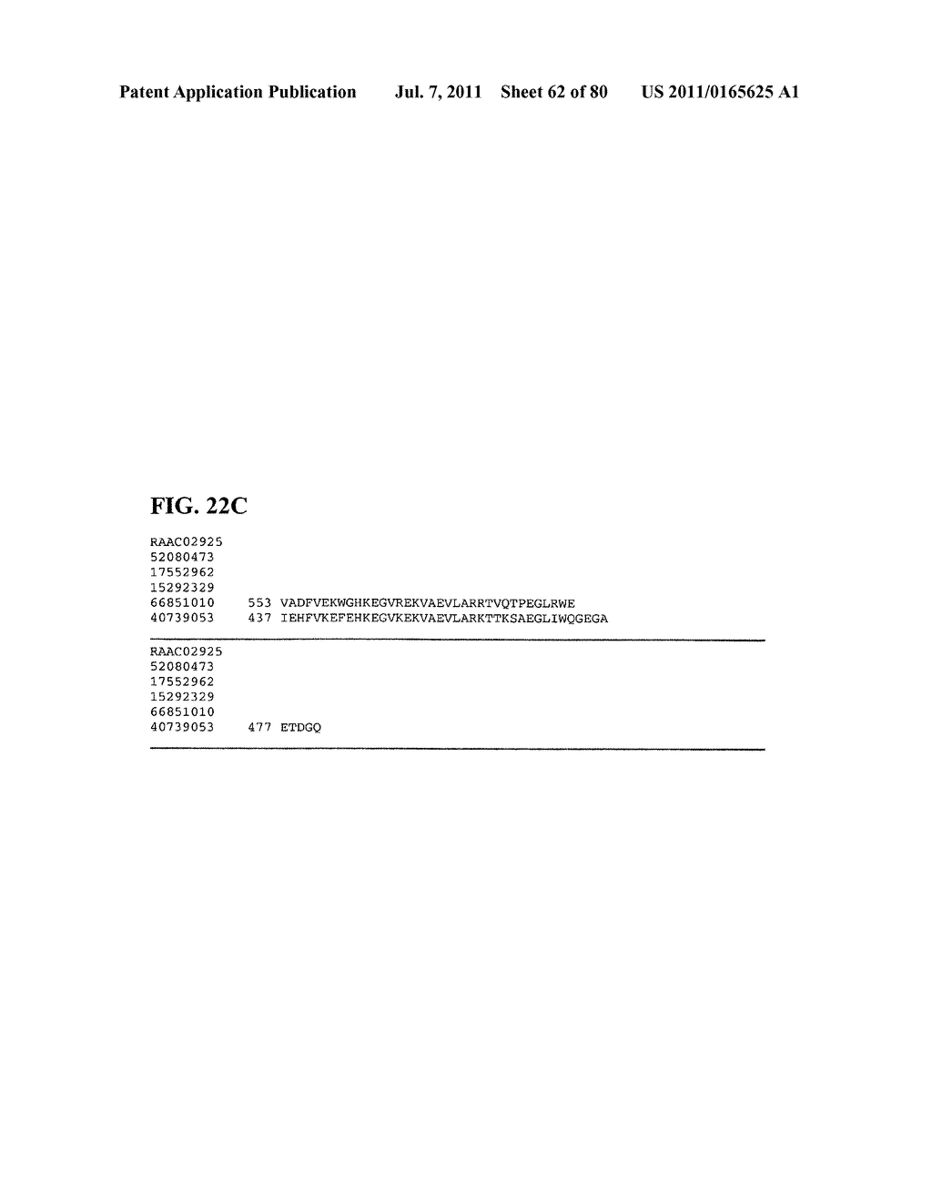 Thermophilic and thermoacidophilic biopolymer-degrading genes and enzymes     from alicyclobacillus acidocaldarius and related organisms, methods - diagram, schematic, and image 63