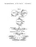 Recombinase-Based Methods for Producing Expression Vectors and     Compositions for Use in Practicing the Same diagram and image