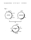 TRANSFORMANT OF CORYNEFORM BACTERIA CAPABLE OF PRODUCING ISOPROPANOL diagram and image