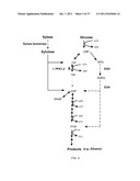 ENGINEERED MICROORGANISMS WITH ENHANCED FERMENTATION ACTIVITY diagram and image