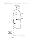 ENGINEERED MICROORGANISMS WITH ENHANCED FERMENTATION ACTIVITY diagram and image