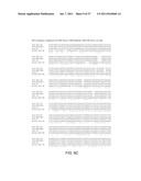 ENGINEERED MICROORGANISMS WITH ENHANCED FERMENTATION ACTIVITY diagram and image