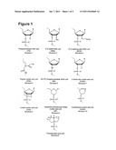 Anti-MicroRNA Oligonucleotide Molecules diagram and image