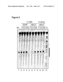 Anti-MicroRNA Oligonucleotide Molecules diagram and image