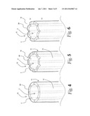 Carcass Cleaning Method, Device and Machine diagram and image