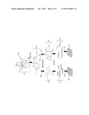 Analysis of methylation using nucleic acid arrays diagram and image