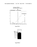 POLYMER CONJUGATES OF THERAPEUTIC PEPTIDES diagram and image