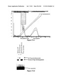 POLYMER CONJUGATES OF THERAPEUTIC PEPTIDES diagram and image