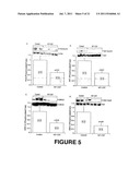 CATESTATIN (CST) AND ITS VARIANTS FOR TREATMENT OF CARDIOVASCULAR AND     METABOLIC DISORDERS diagram and image