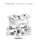 CATESTATIN (CST) AND ITS VARIANTS FOR TREATMENT OF CARDIOVASCULAR AND     METABOLIC DISORDERS diagram and image