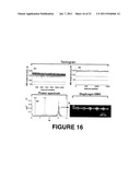 CATESTATIN (CST) AND ITS VARIANTS FOR TREATMENT OF CARDIOVASCULAR AND     METABOLIC DISORDERS diagram and image