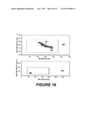 CATESTATIN (CST) AND ITS VARIANTS FOR TREATMENT OF CARDIOVASCULAR AND     METABOLIC DISORDERS diagram and image