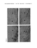 METHODS FOR INHIBITION OF SCARRING diagram and image